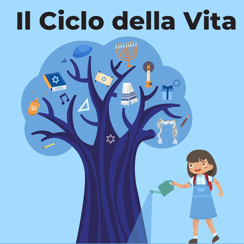 il-ciclo-della-vita