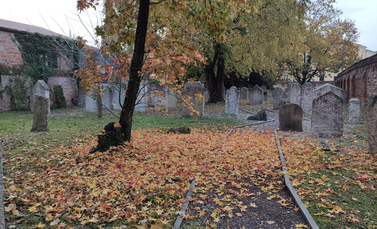 guided-tour-of-the-Jewish-cemetery-via-weil